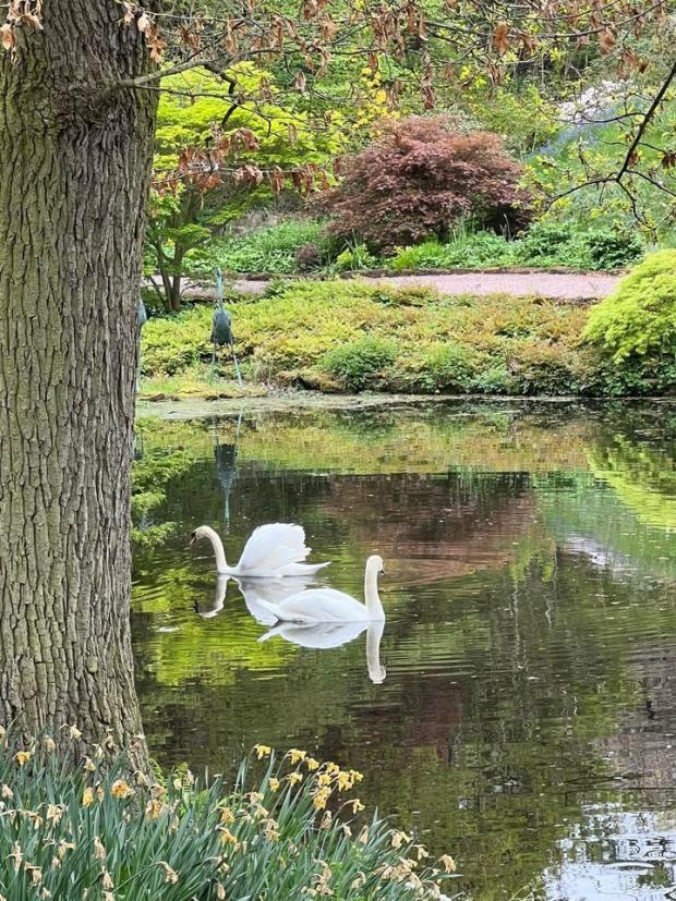 Whitchurch Herald: A day out at Hodnet Hall. Picture by Lesley Watson.